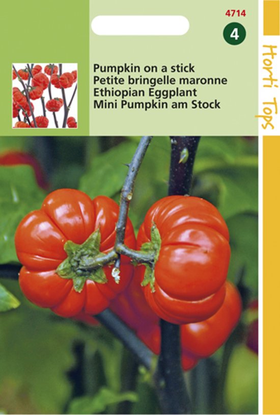 thiopische Eierfrucht (Solanum aethiopicum) 15 Samen